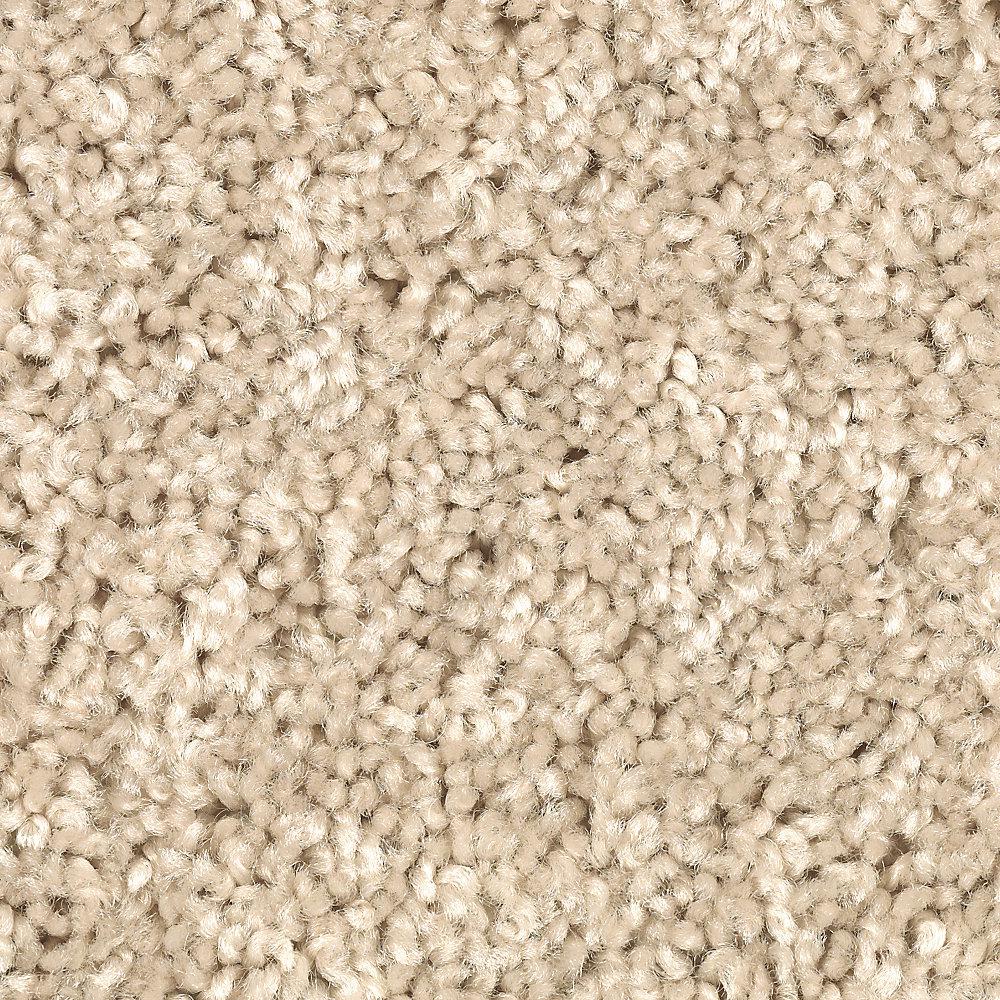 Home Decorators Collection Carpet Sample Bel Ridge Color Beach Home Decorators Collection Carpet Sample Bel Ridge Color Beach House Texture 8 In