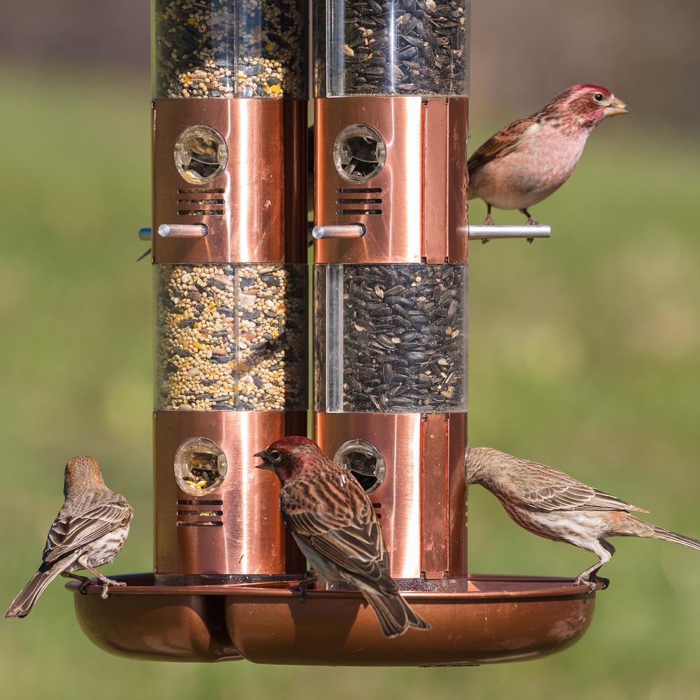 Perky Pet Copper Triple Tube Squirrel Proof Bird Feeder 10 Lb