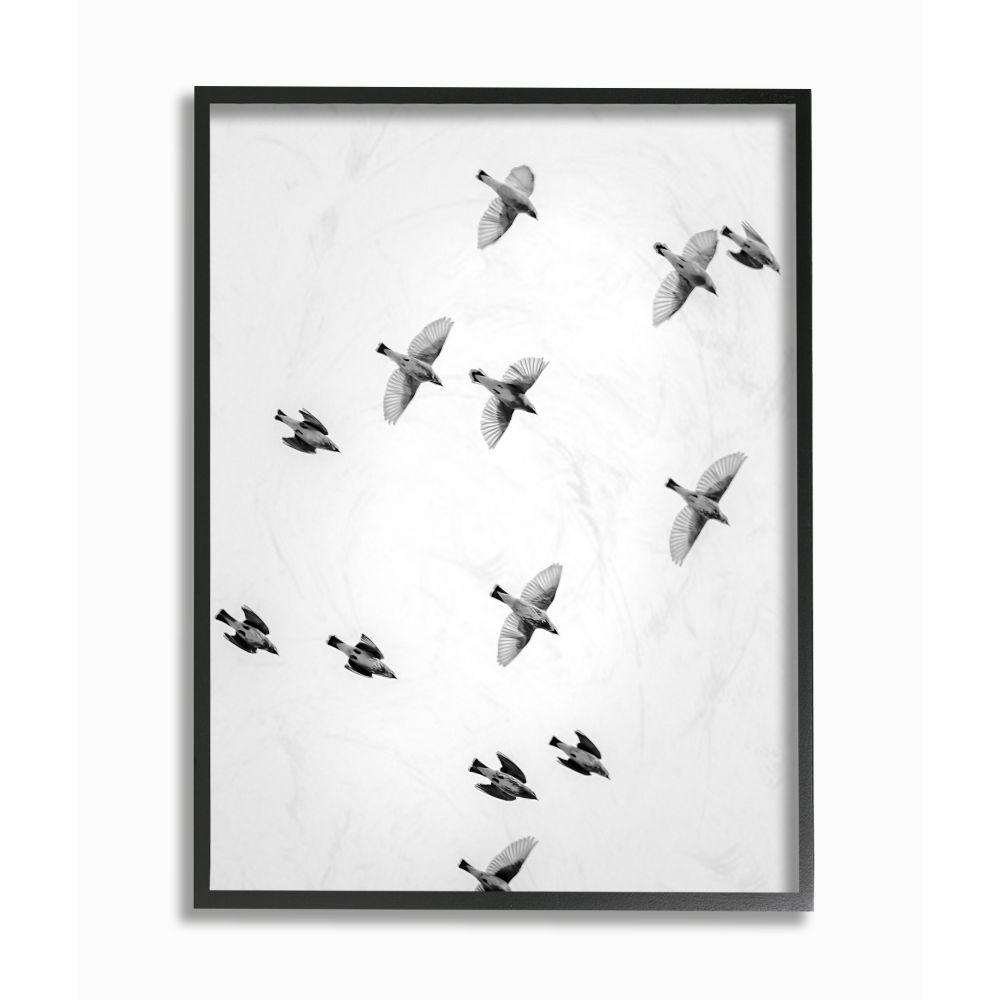 The Stupell Home Decor Collection 24 In X 30 In Birds In Flight