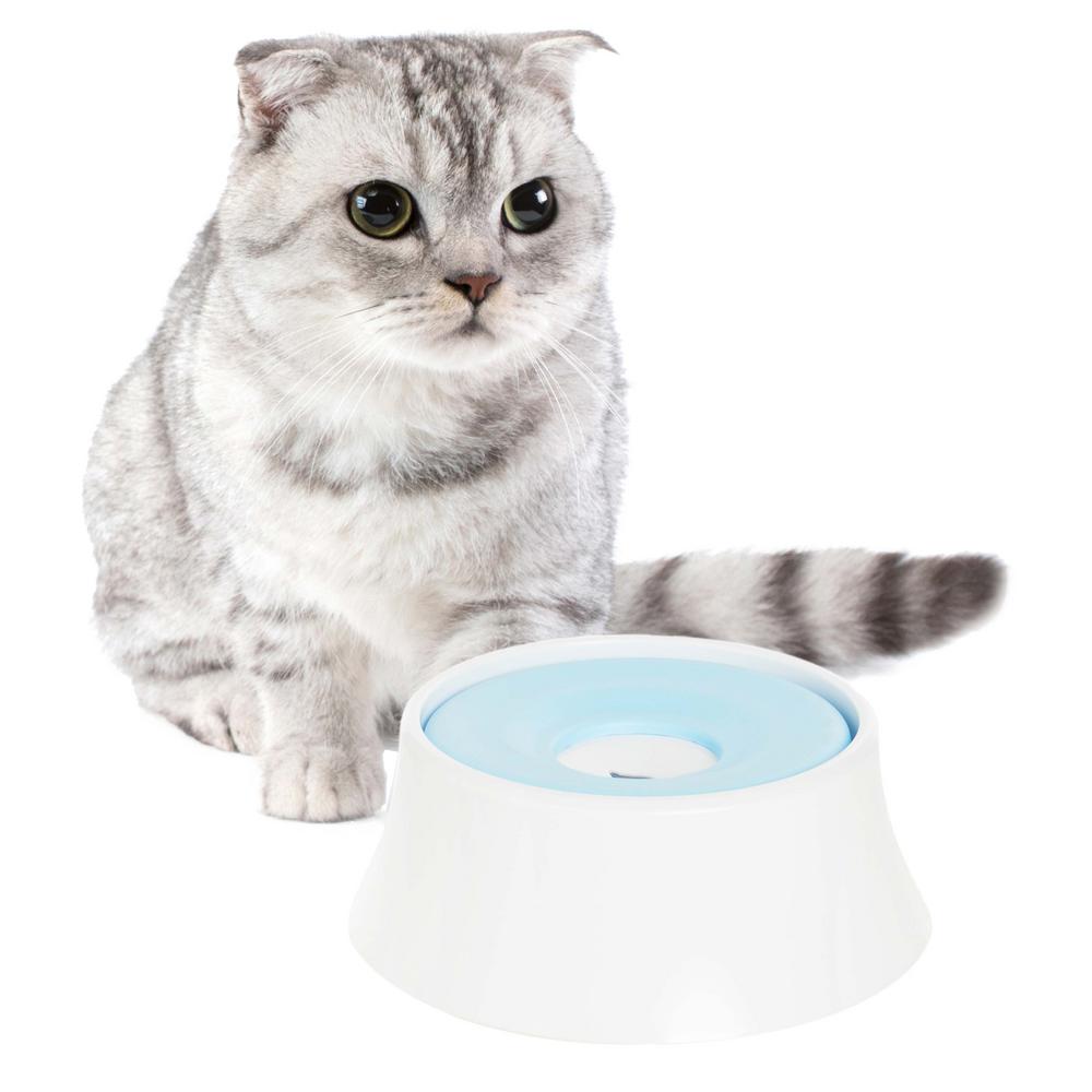 water bowl for cats that splash water