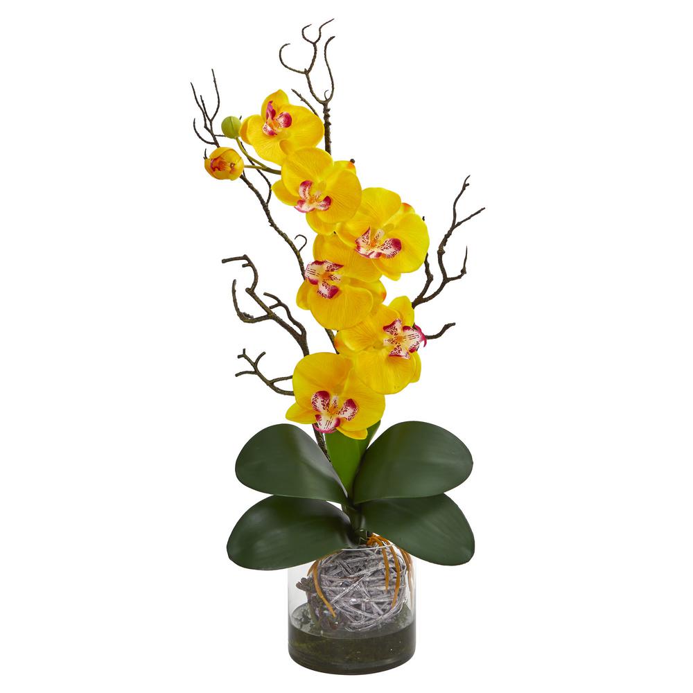 Nearly Natural 1731-GR Phalaenopsis Orchid /& Mini Apple Artificial Silk Arrangements Green