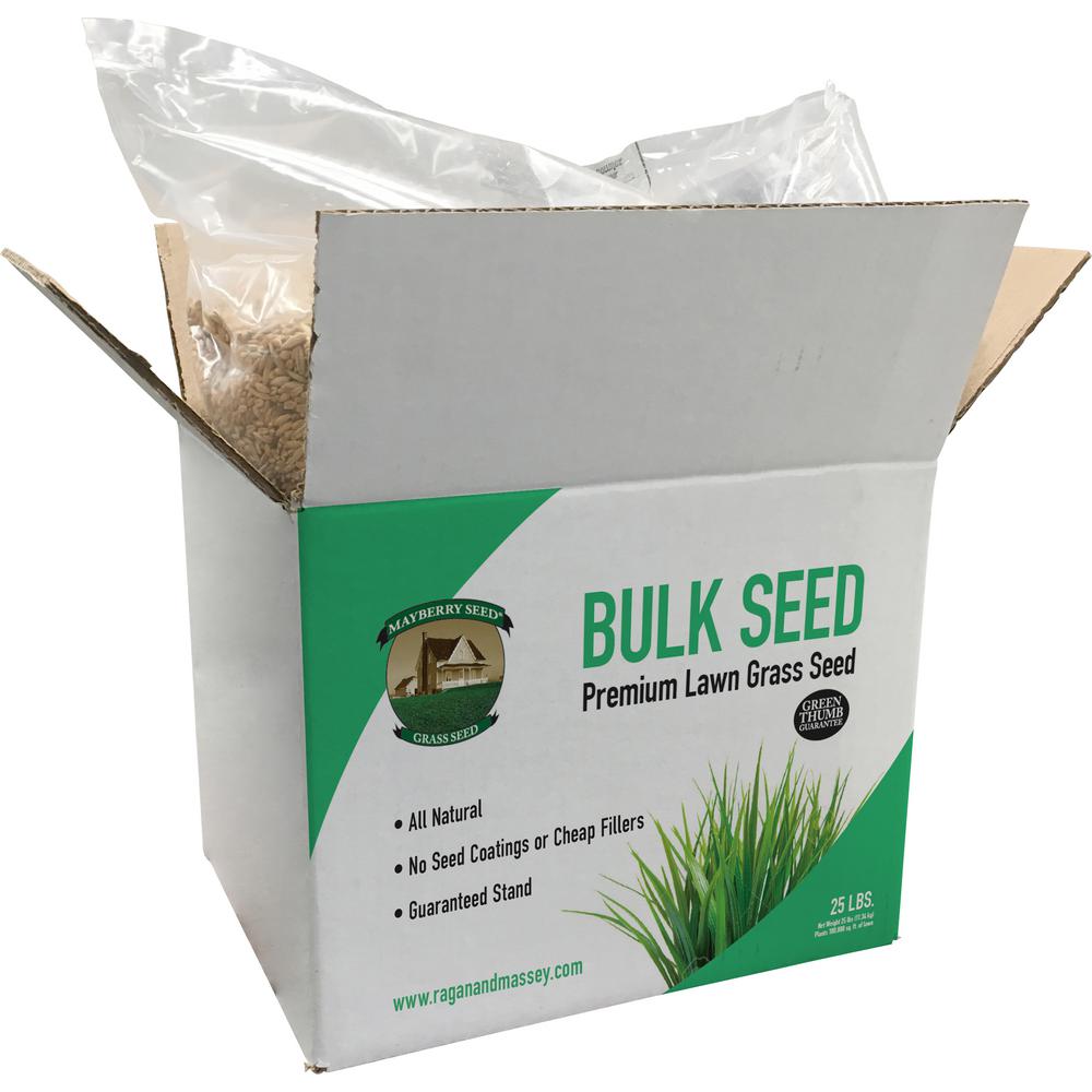 Mayberry 25 lbs. Lawn Grass Seed Turf Type Perennial Ryegrass by Mayberry