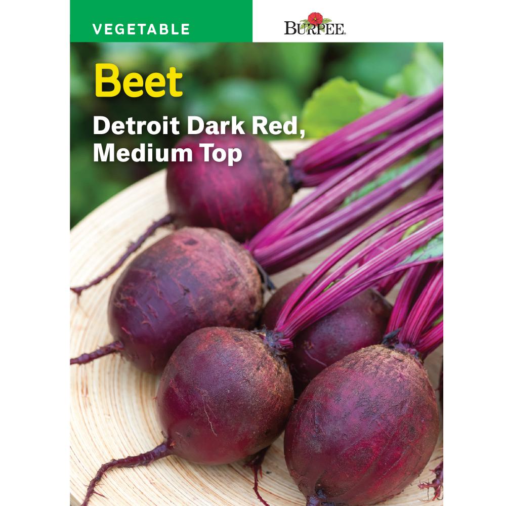 black dark beetroot