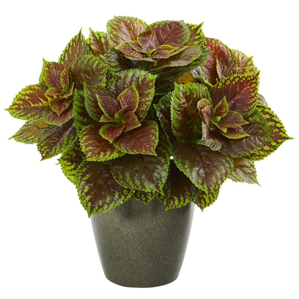 Nearly Natural 20 in. Coleus Artificial Plant in Green Planter (Real