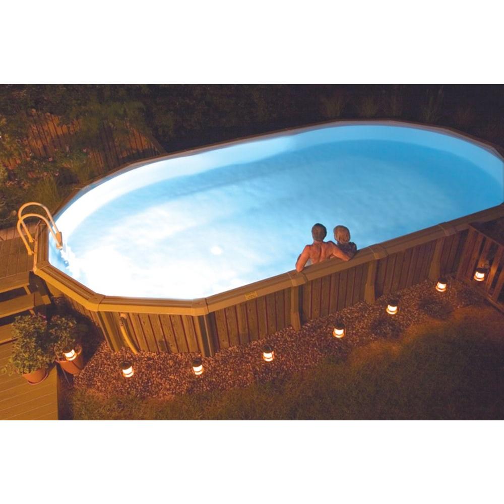 SmartPool Automatic Suction Pool Cleaner with 32 ft. Hose by SmartPool