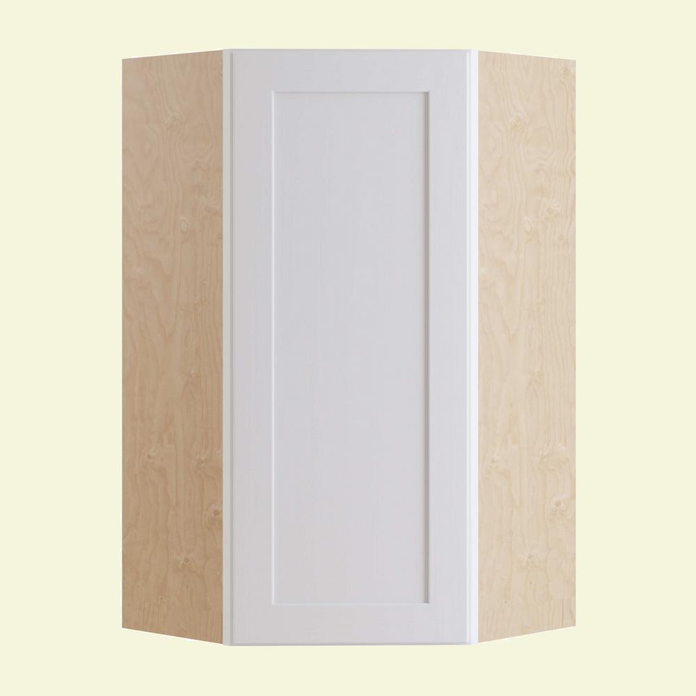 Home Decorators Collection Newport Assembled 24 in. x 42 in. x 24 in