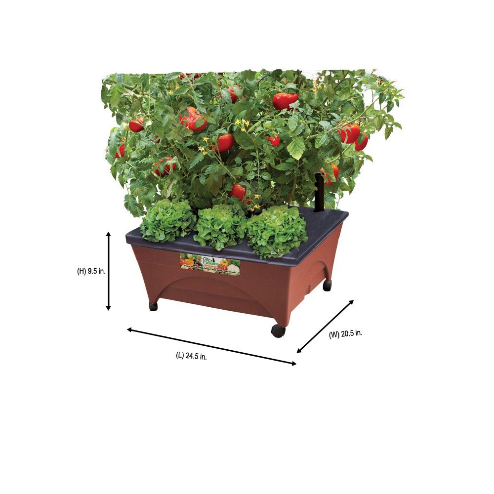 City Pickers 24 5 In X 20 5 In Patio Raised Garden Bed Grow Box