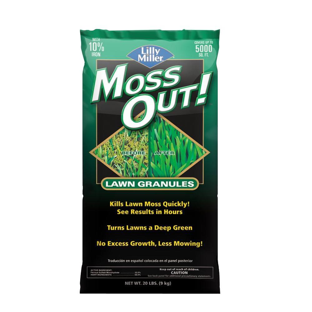 Moss Out! 1 Gal. Moss Out! for Lawns100099156 The Home Depot