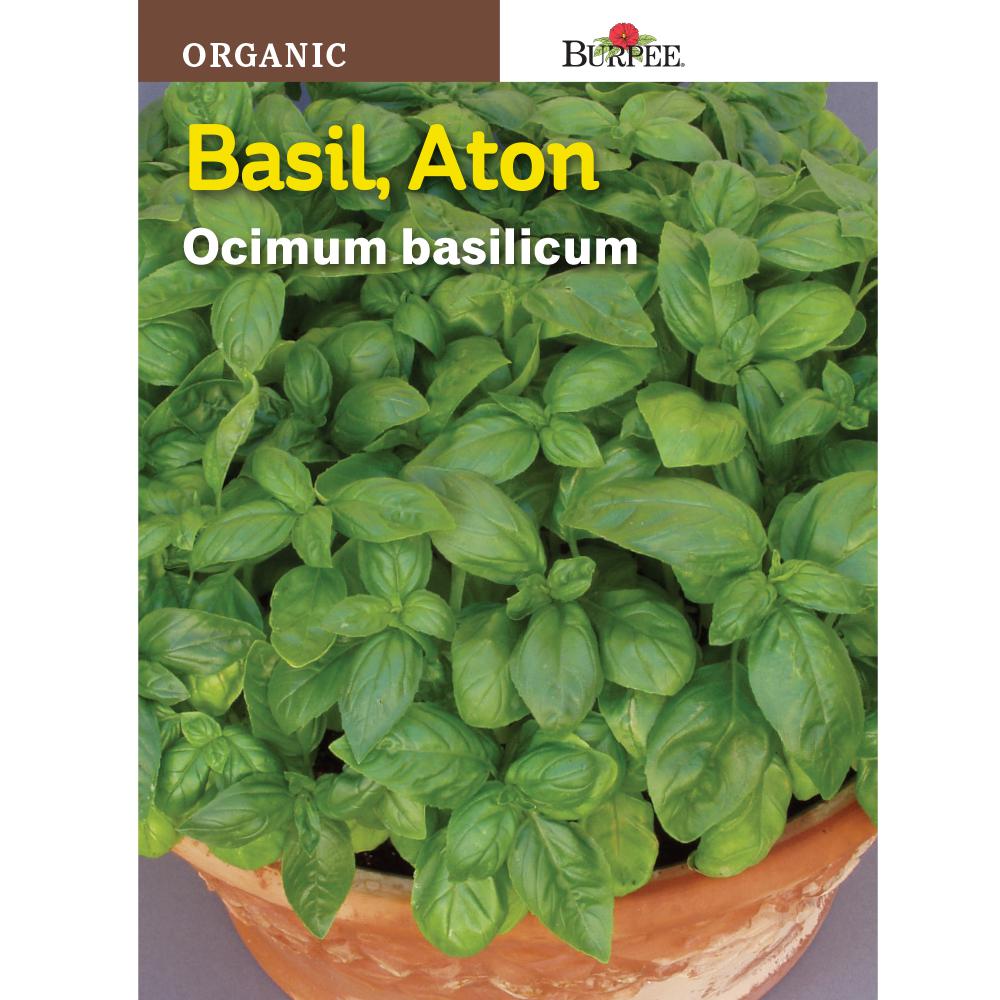 Burpee Herb Basil Aton Organic Seed65252 The Home Depot