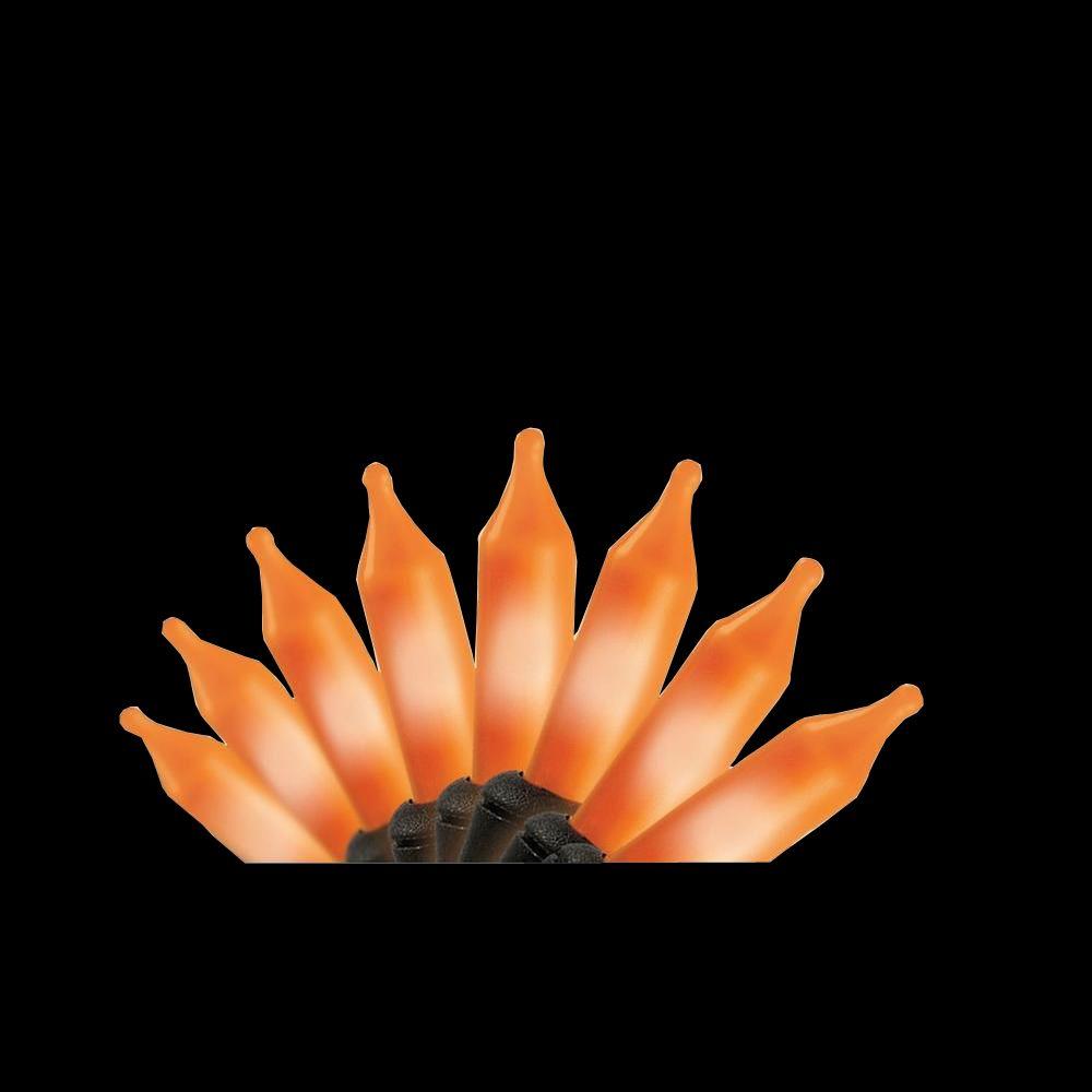 Home Accents Holiday 100Light Orange Mini String Light SetTY100LHO