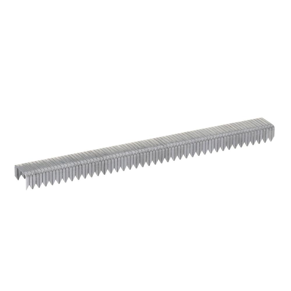 Arrow Fastener T50 1/4 in. Leg x 3/8 in. Crown Galvanized Steel Staples
