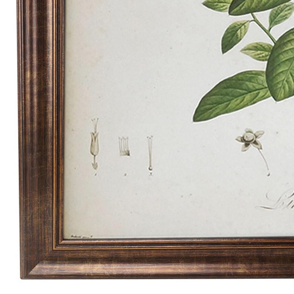 Home Decorators Collection Home Decorators Collection Antiqued