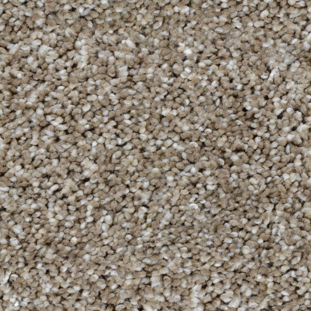 Trendy Threads III - Color Meridian Texture 12 ft. Carpet