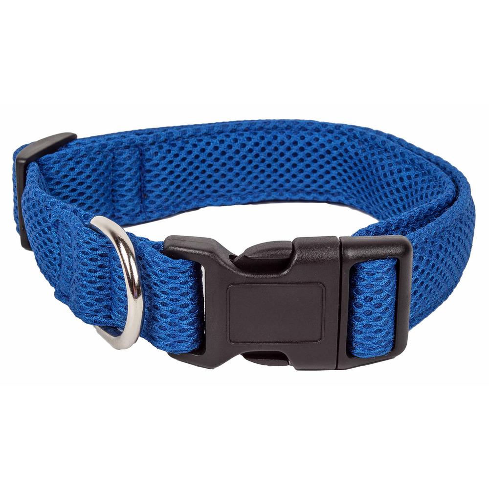 medium dog collar