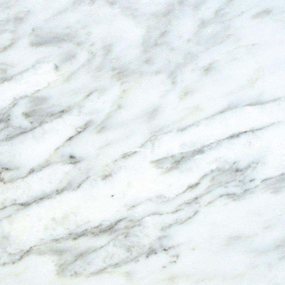 Msi Greecian White 18 In X Honed Marble Floor And Wall Tile Msi Greecian White 18 In X Honed Marble Floor And Wall Tile 11 25 Sq Ft Case Taracar1818h The Home Depot