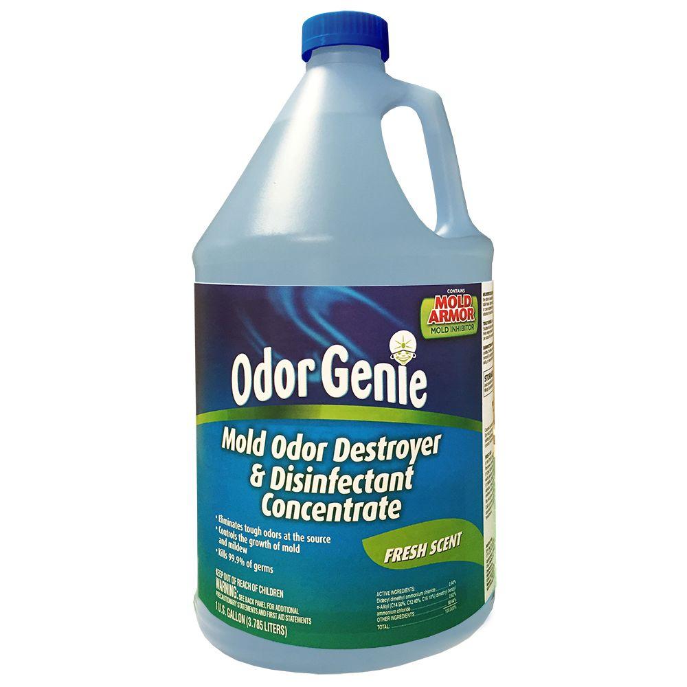 DampRid 1 Gal. Odor Genie Mold Odor Destroyer Fresh ScentFG72FS The