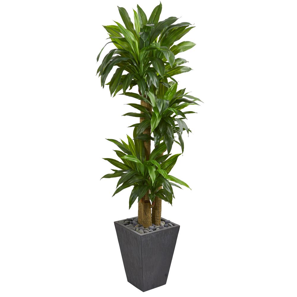 Nearly Natural Real Touch 5.5 ft. Indoor Cornstalk Dracaena Artificial