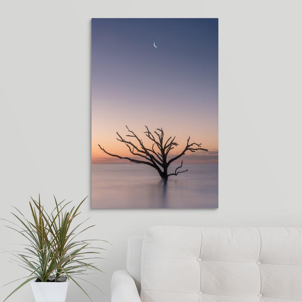 Greatbigcanvas Crescent Moon Over Tree By Tony Sweet Canvas Wall Art 2459502 24 20x30 The Home Depot