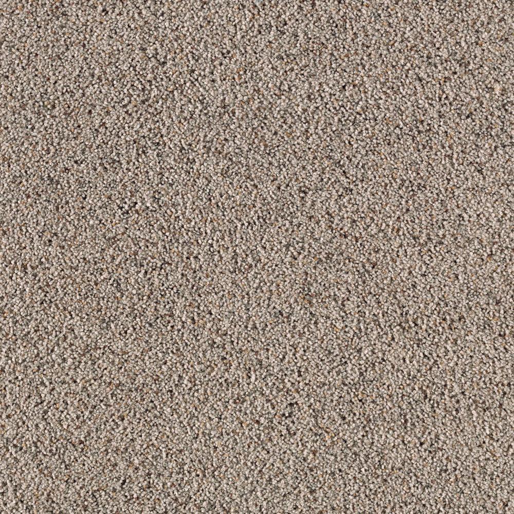 Home Decorators Collection Carpet Sample - Shining Moments III (F