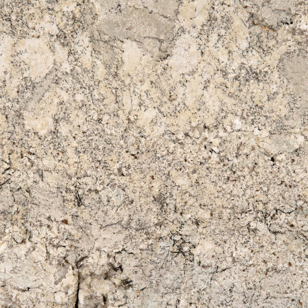 Msi 3 In X 3 In Granite Countertop Sample In Snowfall P Rsl