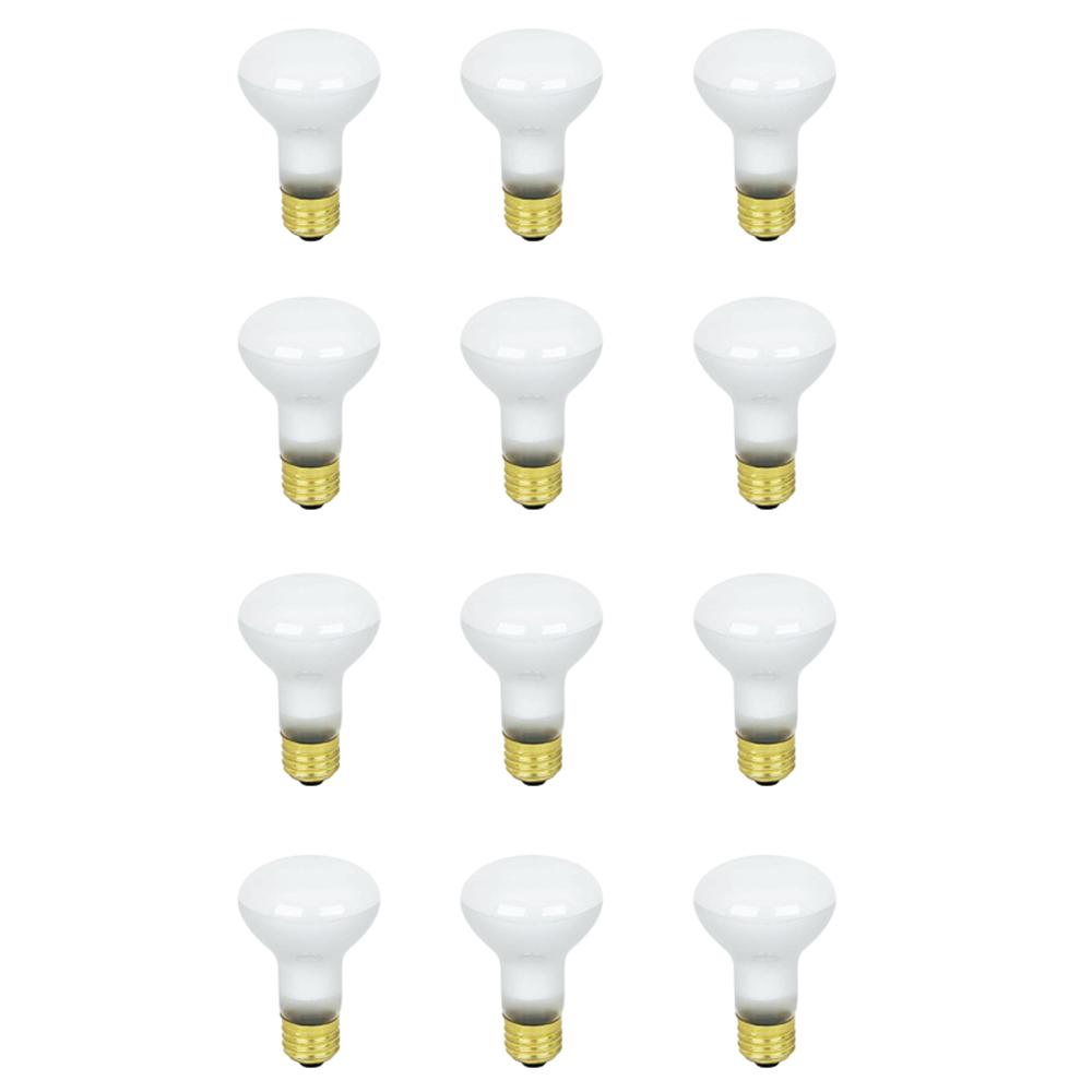 Feit Electric Incandescent Light Bulbs The Home Depot 45 Watt Soft White