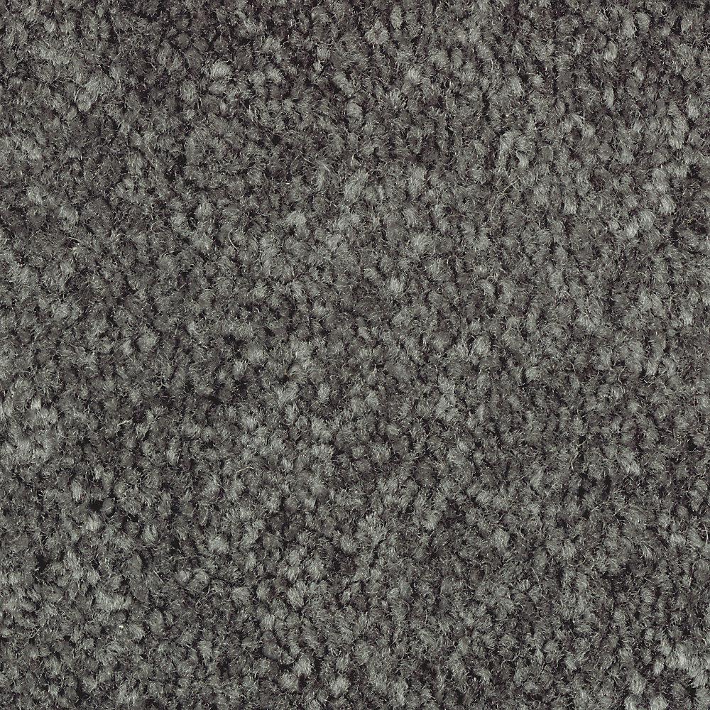 LifeProof Mason I - Color Aspen Texture 15 ft. Carpet ...
