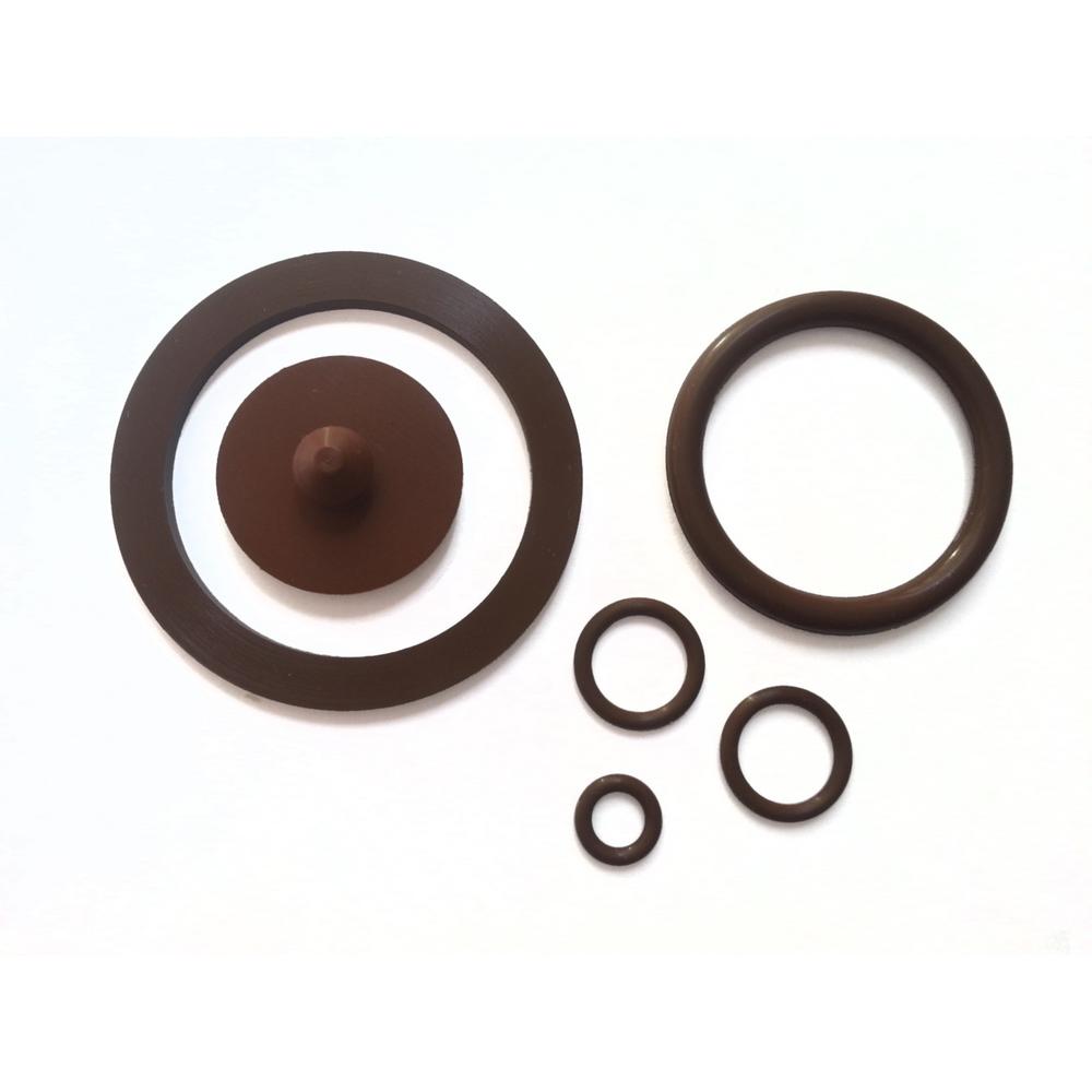 Longray Viton Gasket Kit for Stainless Steel SprayerSPKITV The Home