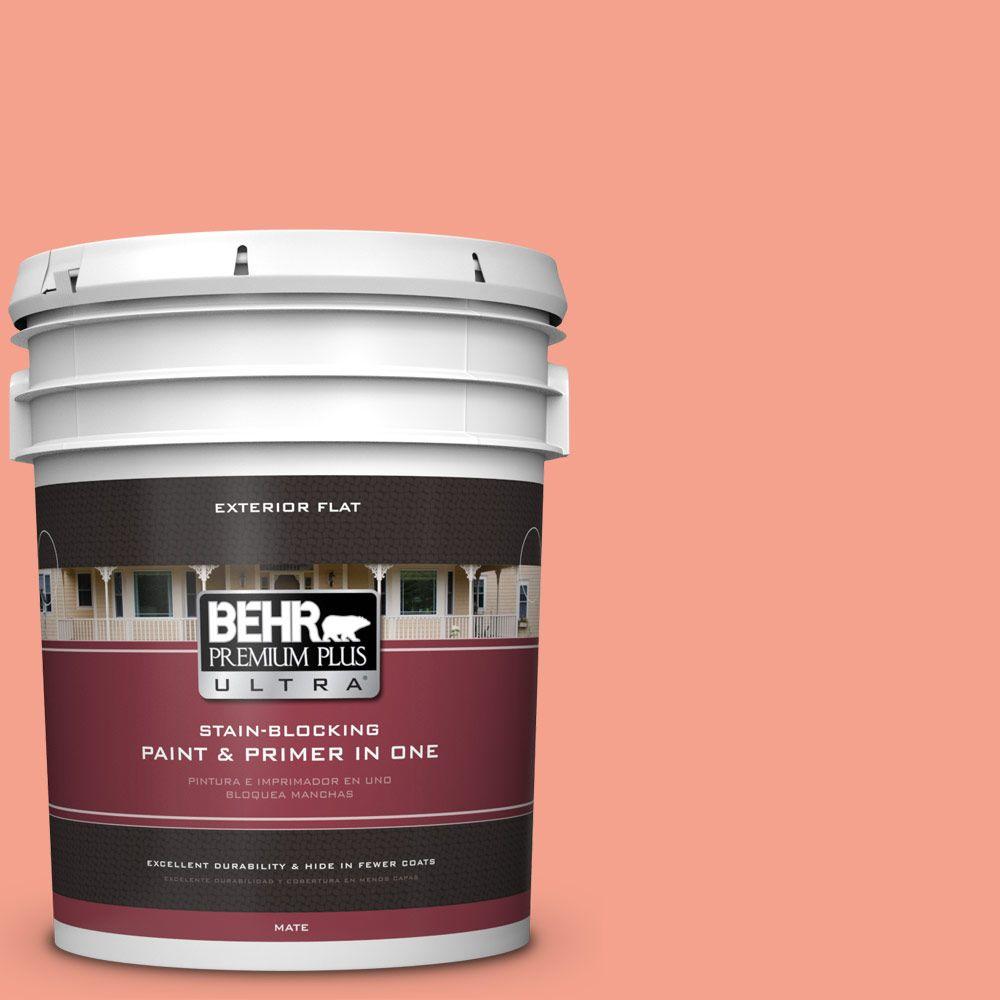 BEHR Premium Plus Ultra Home Decorators Collection 5-gal. #HDC-MD ...