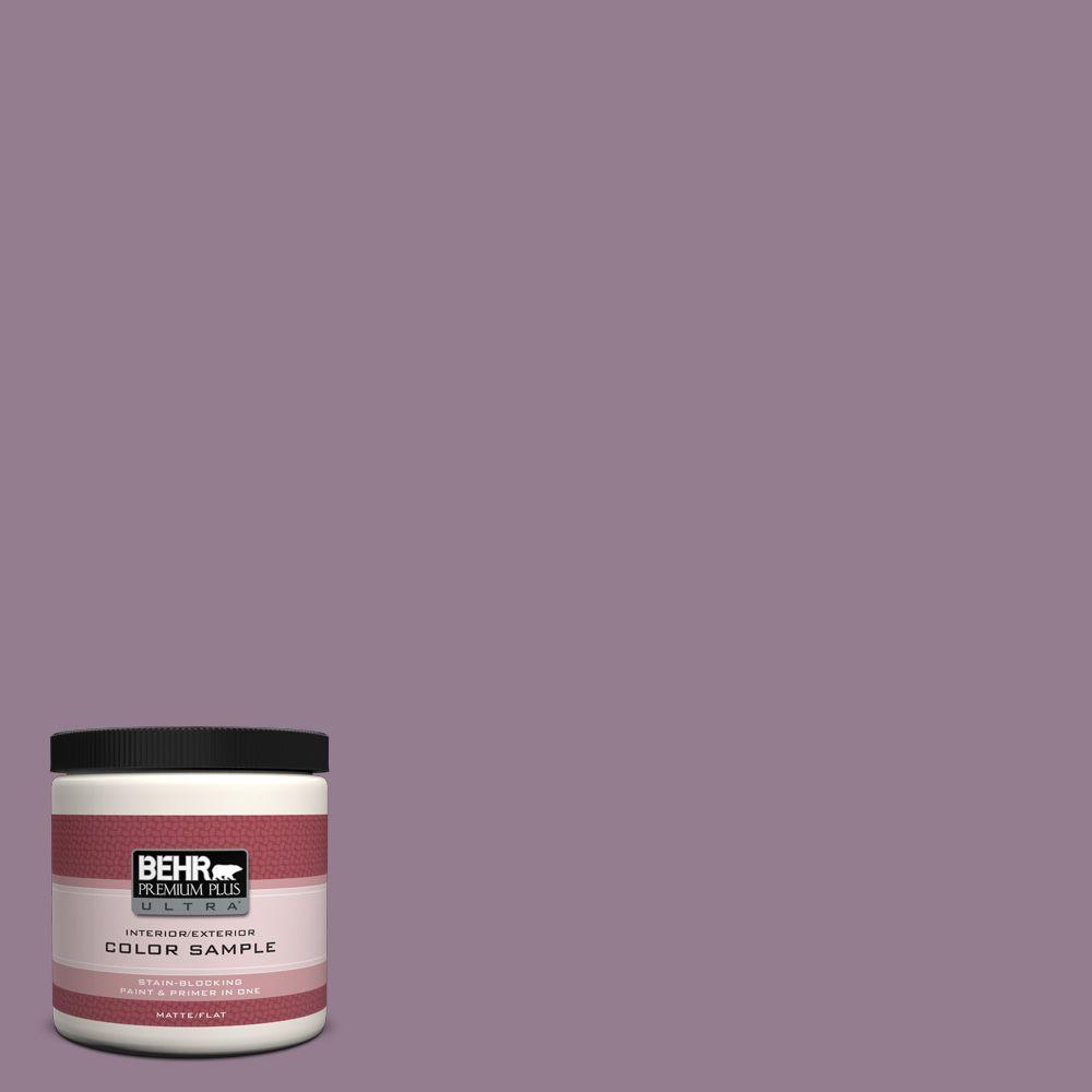 Behr Premium Plus Ultra 8 Oz 680f 5 Plum Swirl Interior Exterior 680f 5 Plum Swirl Interior Exterior
