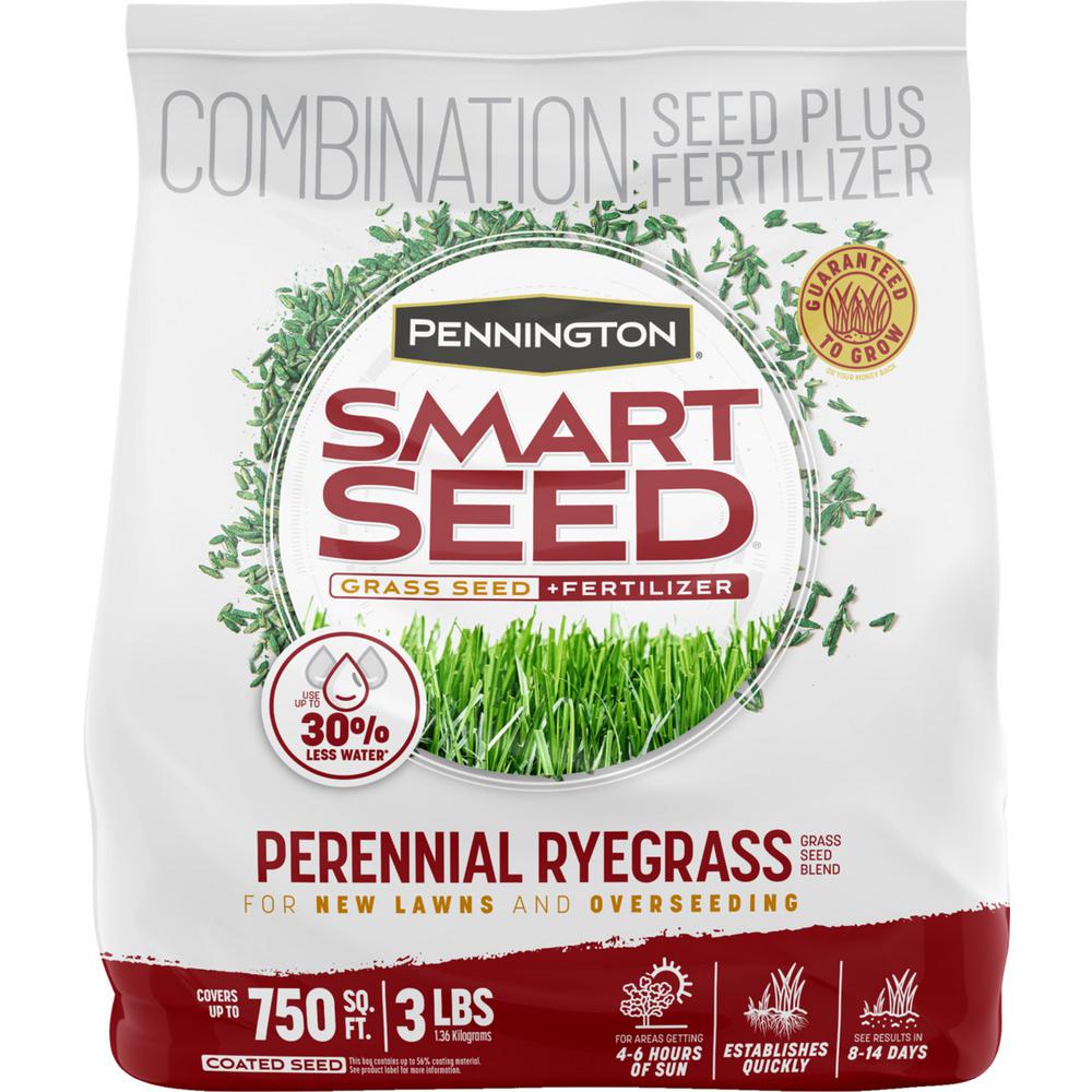 Pennington Smart Seed 3 lbs. Dense Shade Grass Seed and Fertilizer