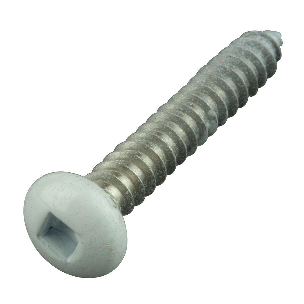crown bolt 10 1 1 4 in philips pan head square white stainless white pan head sheet metal screws