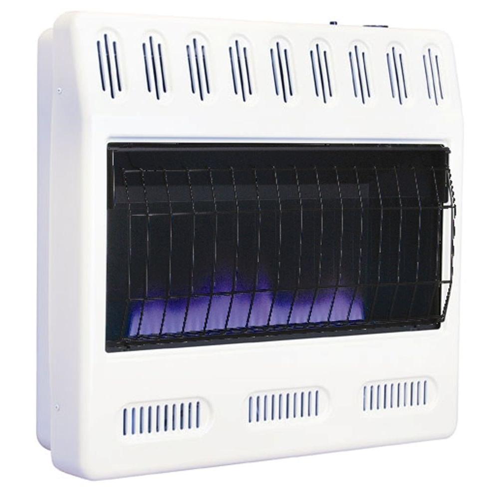 Williams 30,000 BTU/hr Blue Flame Heater Propane Gas Heater with Automatic... by Williams