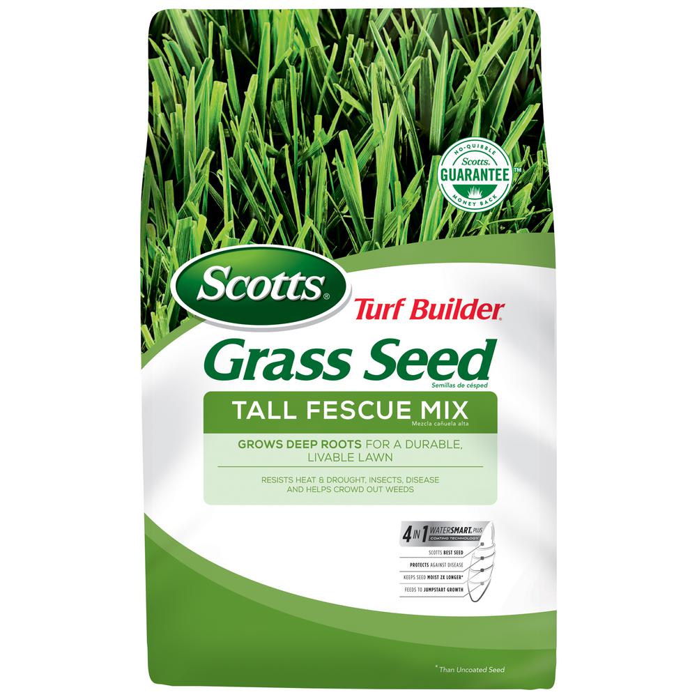 Scotts 20 lb. Turf Builder Tall Fescue Mix Grass Seed-18242 - The Home Best Grass Seed For Oklahoma Shade