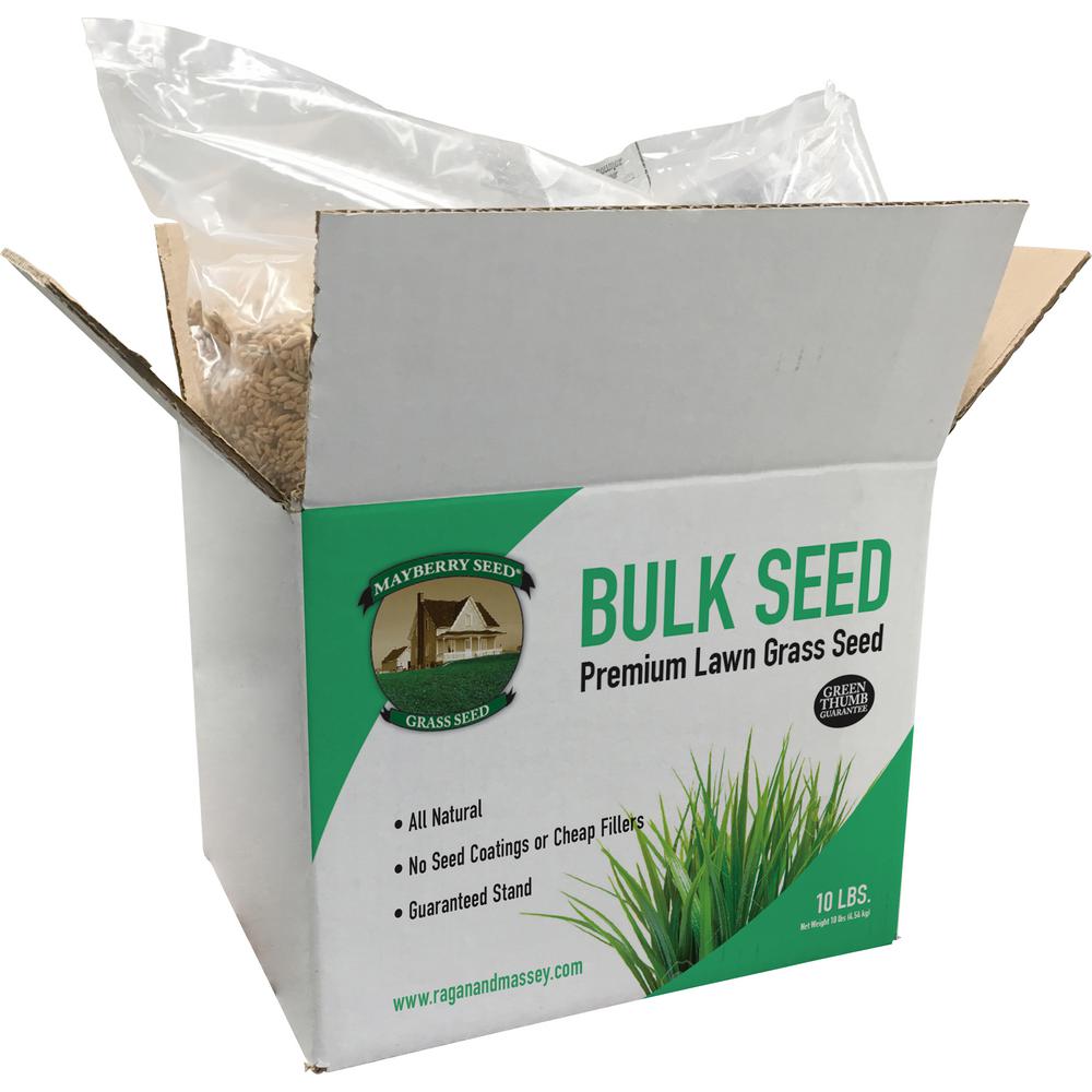 Fescue Gr Seed Lawn Care The Home Depot Lawn Gr Seed K 31 Tall Fescue