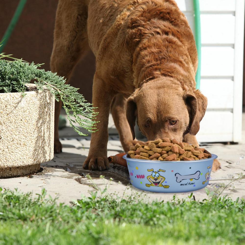 dog food at home depot