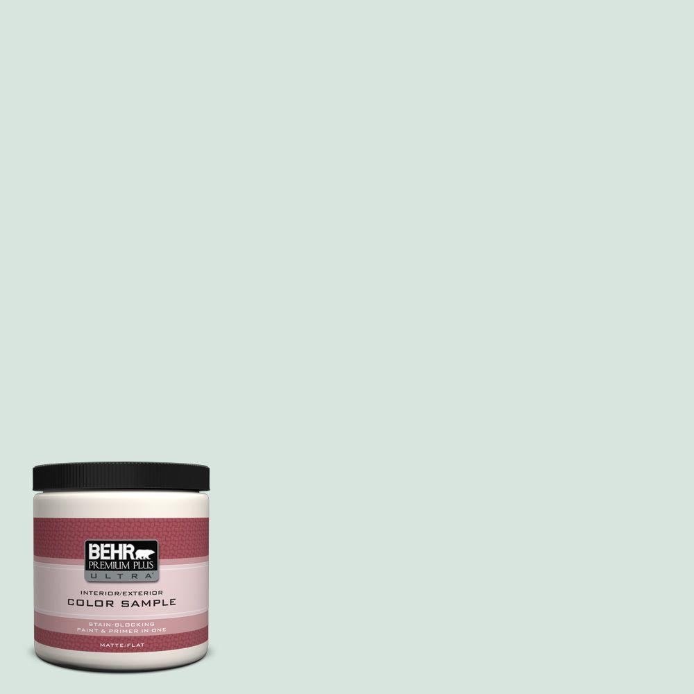 BEHR Premium Plus Ultra 8 Oz S420 1 New Day Matte Interior Exterior   New Day Behr Premium Plus Ultra Paint Colors Ul20016 64 1000 