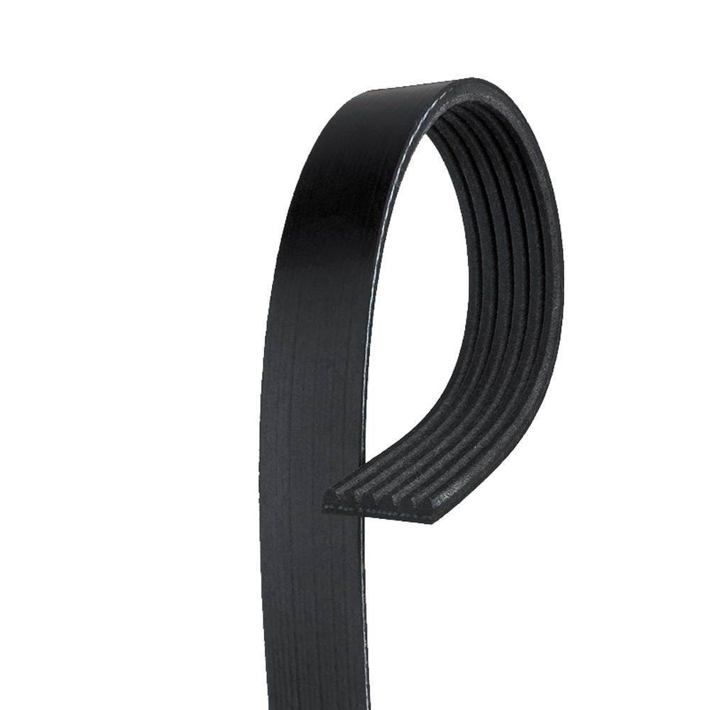 ac delco serpentine belt