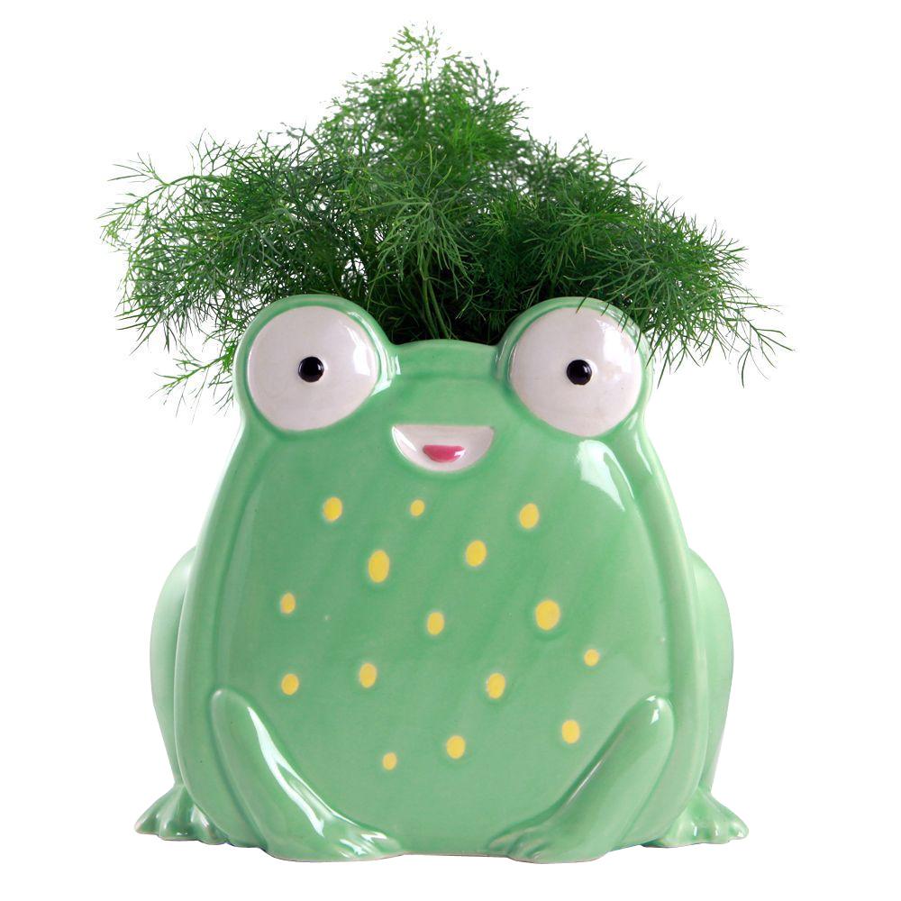 Pennington 6 In Green Ceramic Whimsical Frog 100512993 The Home Depot Green Ceramic Whimsical Frog