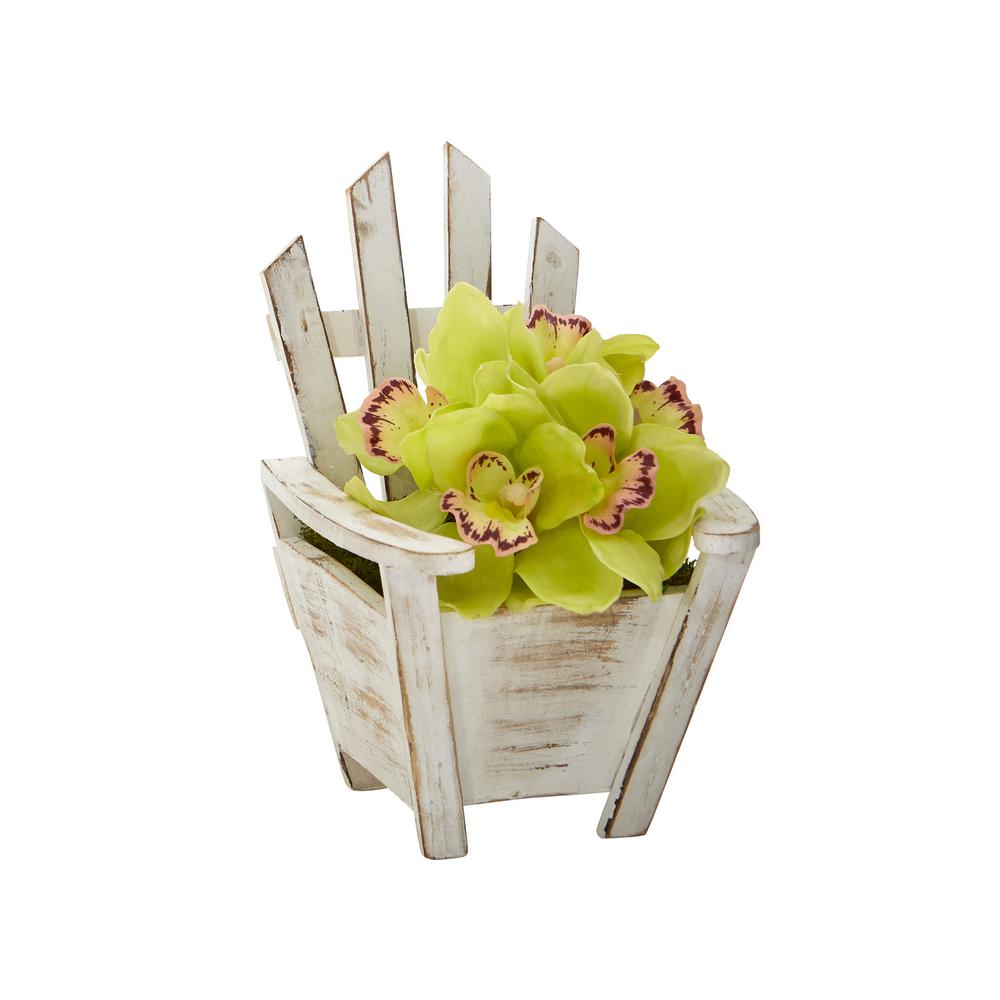 cymbidium a1107