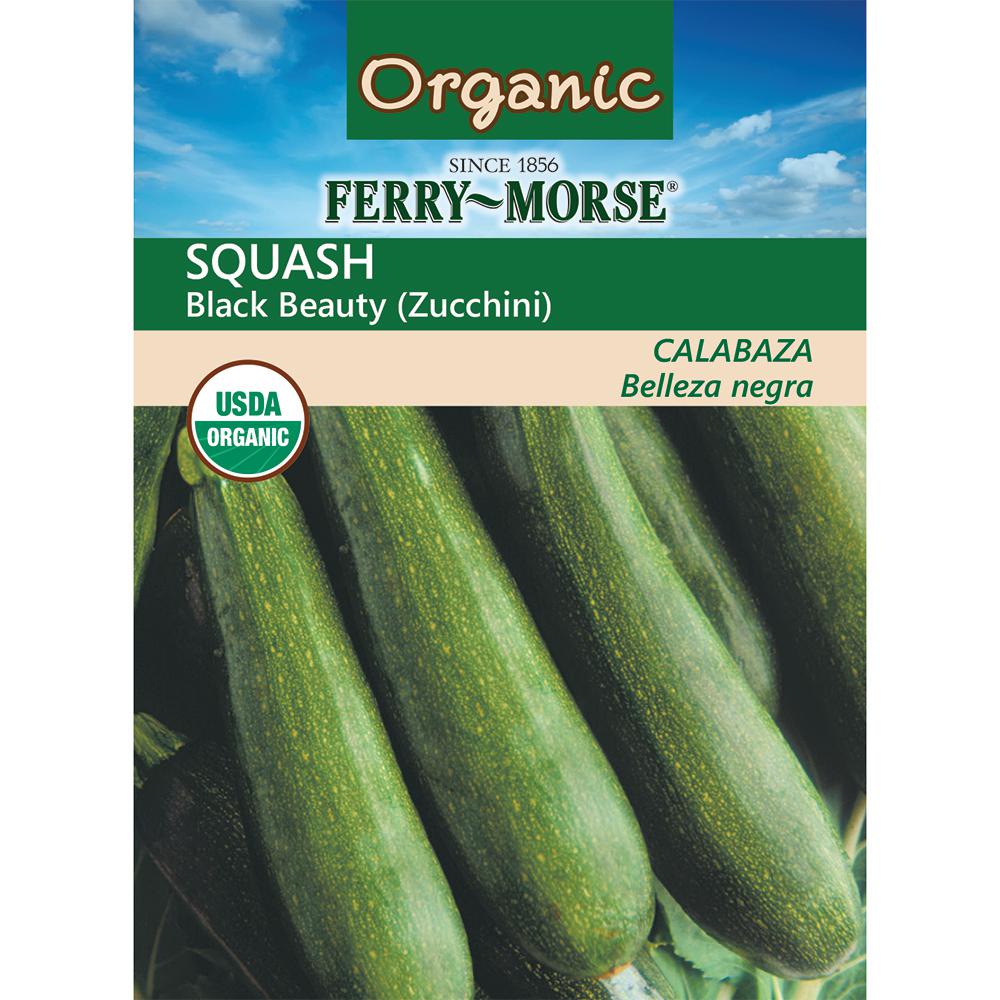 Seeds of Change Squash, Dark Star Zucchini Seeds Pack05800 The Home Depot