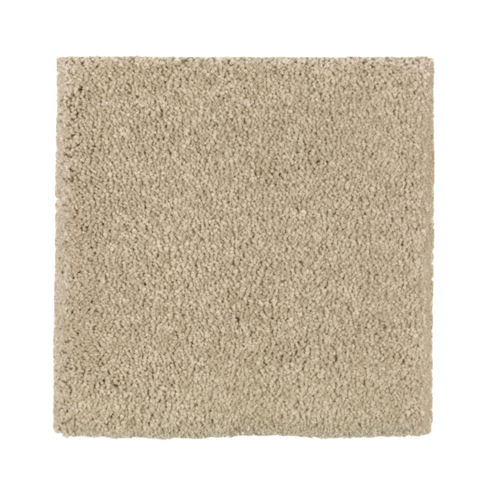 Petproof Carpet Flooring The Home Depot Carpet Sample Gazelle Ii Color Shoe Peg Texture 8 In X