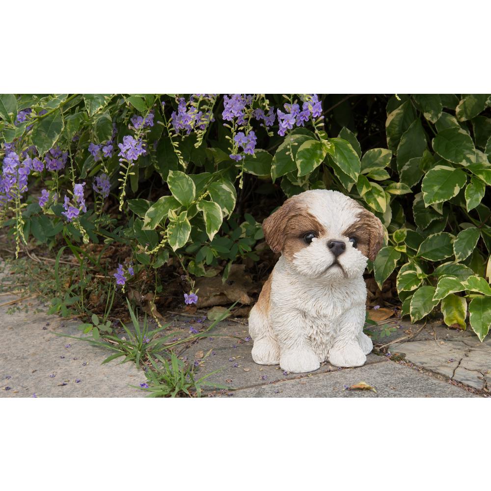 Shih Tzu Puppy Brown And White Statue 87771 A The Home Depot