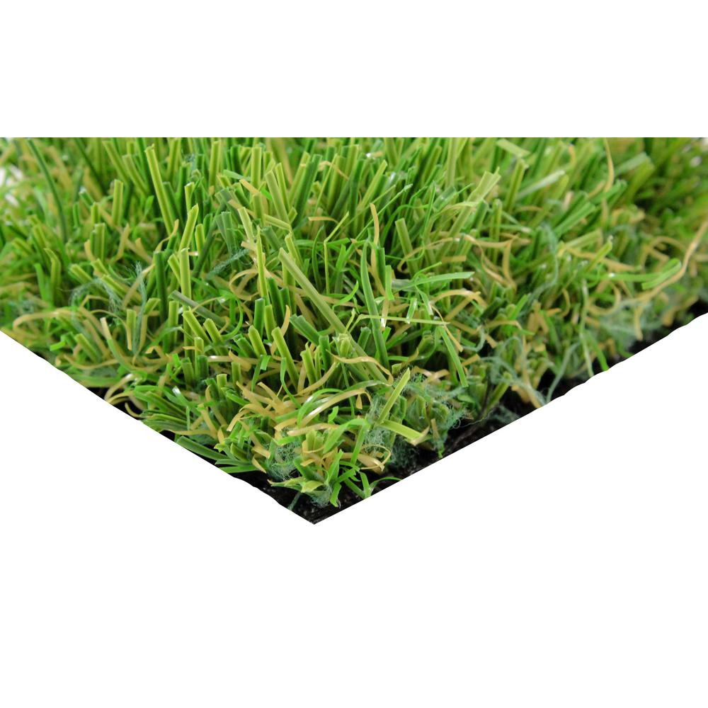 lawn rye 48n tca equivalent