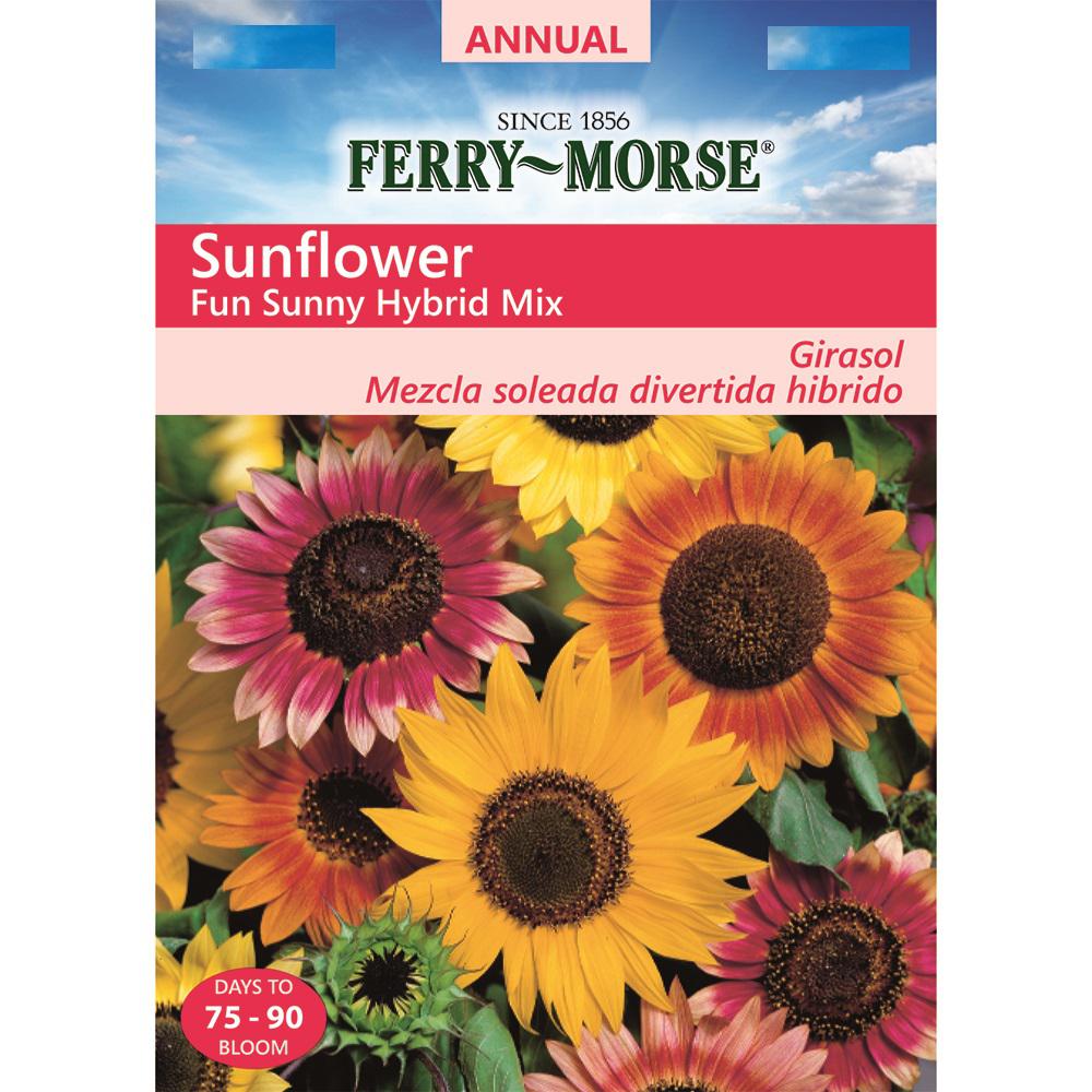 FerryMorse Sunflower Fun Sunny Hybrid Mix Seed9507 The Home Depot