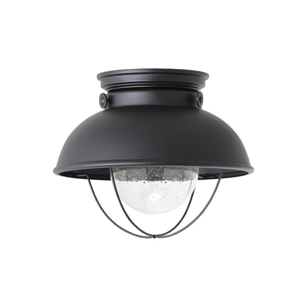 Flush Mounted Soft White Special Values Lighting The Home Depot Sebring Black Integrated Led Outdoor Flush Mount
