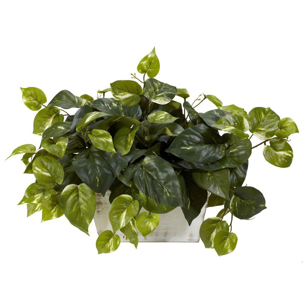 Fake pothos plant Idea