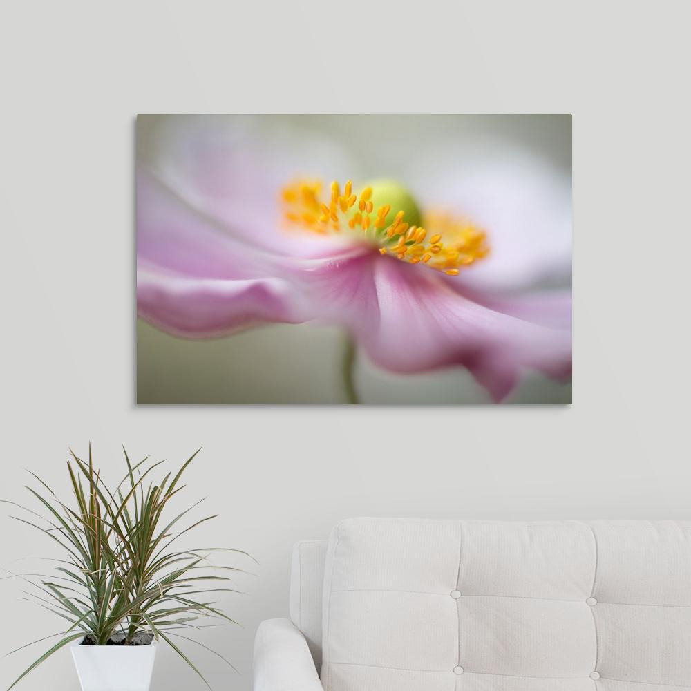 Pink And Yellow Flower By Mandy Disher Canvas Wall Art