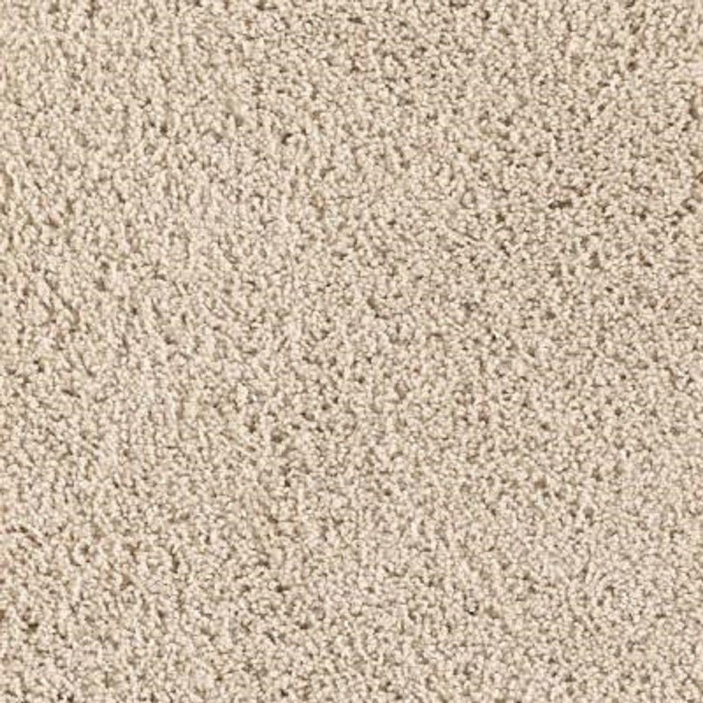 LifeProof Carpet Sample Ballet Ribbon Color Cashmere Texture 8 in