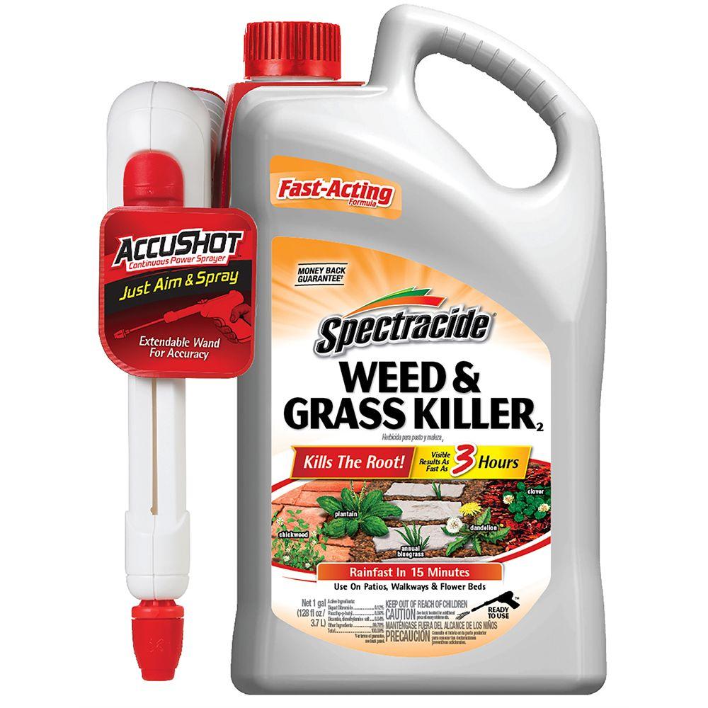 Spectracide Weed And Grass Killer Concentrate Spray Gal My Xxx Hot Girl