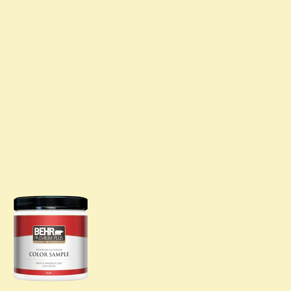 Decorative Concrete Dye Behr Premium Behr